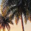 Sunset Palm Tree #6, 24x36, 100% Hand Painted Oil Painting on Canvas - Image 6